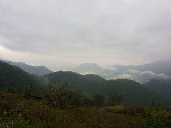 5. హోటళ్లు
