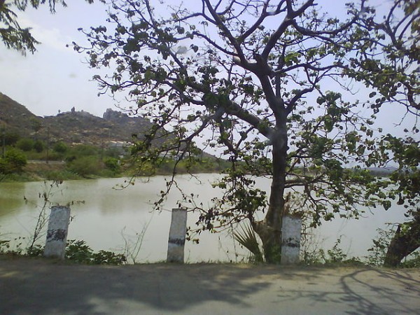 10. లోక కళ్యాణార్ధం