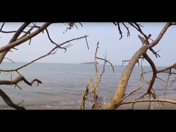 రైలు మార్గం