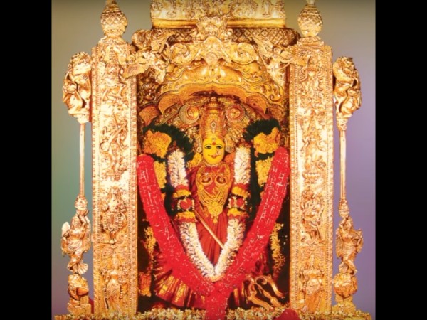 12. వందలాది ప్రైవేటు బస్సులు