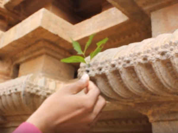 ఆరు మి. మి కన్నా తక్కువ సైజులో వంపుతో కూడిన రంధ్రాలు