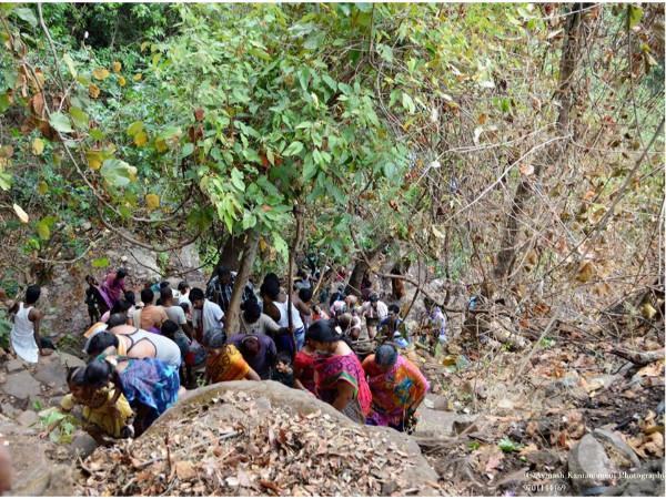15. ఎలా చేరుకోవాలి ?