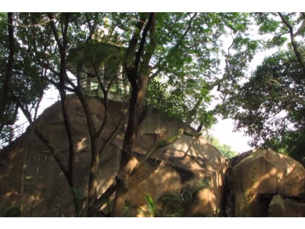 2. మగబిడ్డ