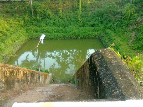 తిరుమల కొండలు