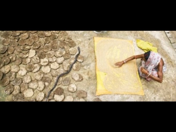 1. సిద్ధేశ్వర్