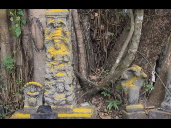 7. పామును ఆరాధిస్తారు