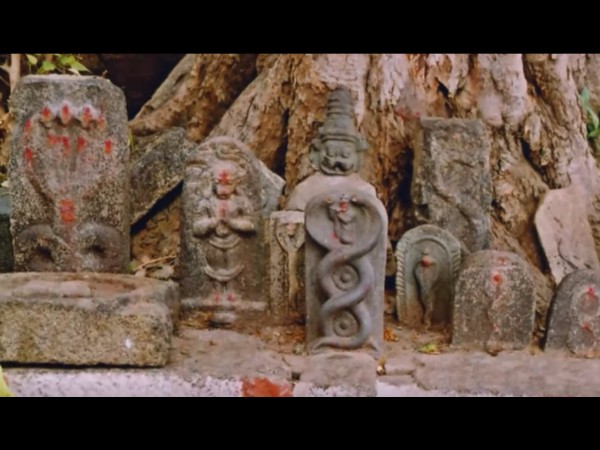 8. నాగేంద్రస్వామి