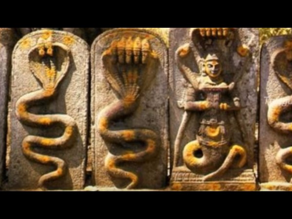 14. మిస్టరీ