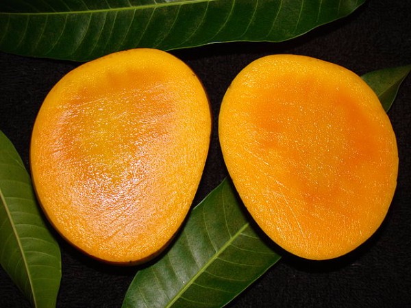 14. రహదారి మార్గం