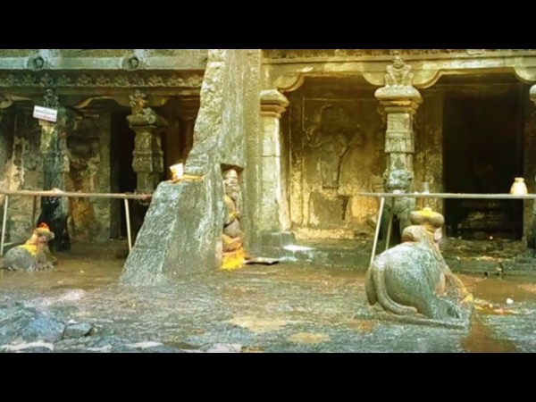 5. బస్సు సౌకర్యం