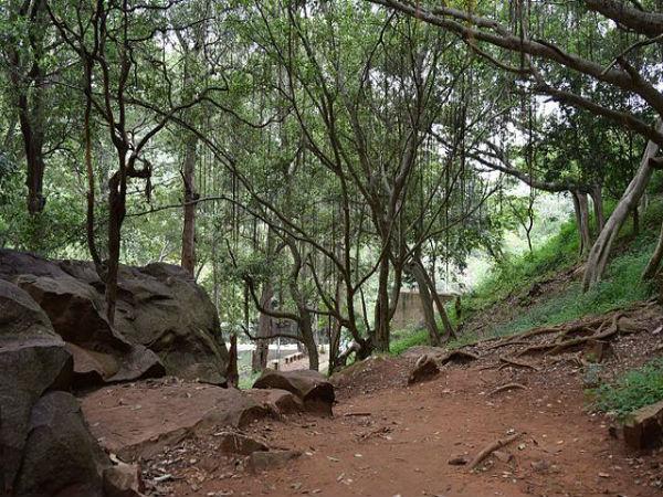 15. గ్రామానికి సరిహద్దు