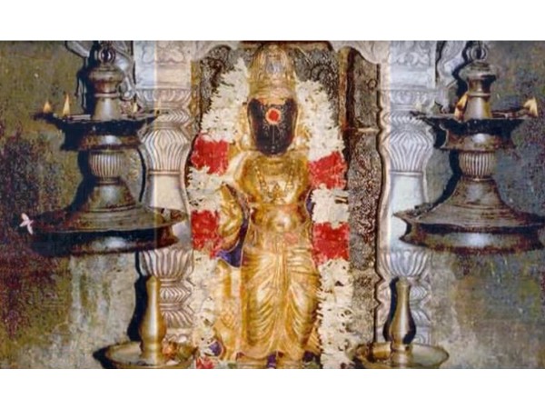 13. వంటవాడిగా