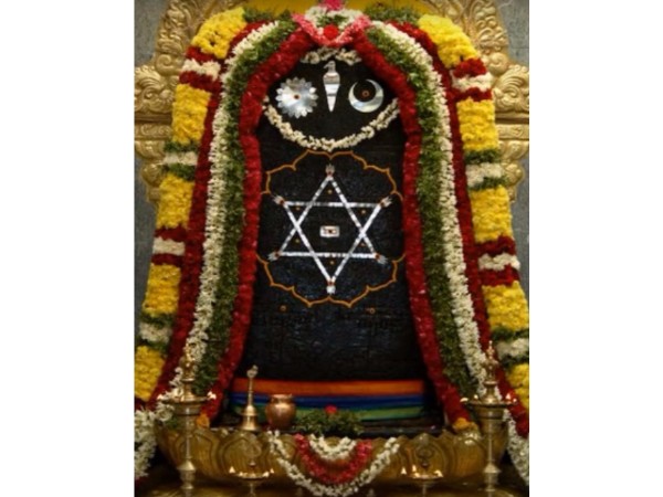 17. బస్సు / రోడ్డు మార్గం