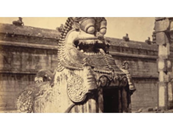 8. సింహపు శరీరం