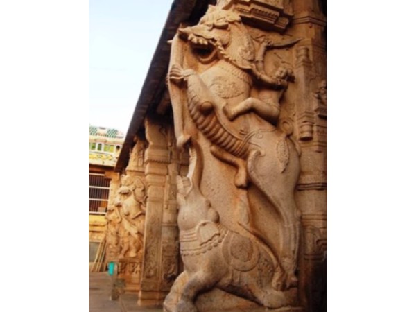 11. యాళిలు