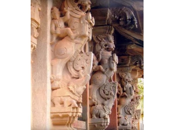 16. యాళి