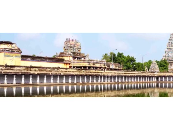17. 64 దూలాలు