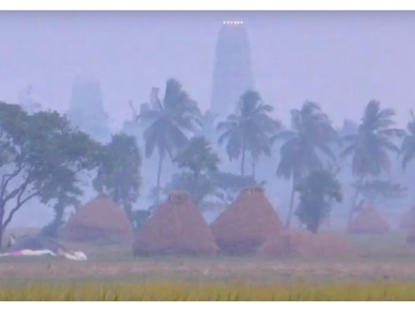25. మ్యూజియం