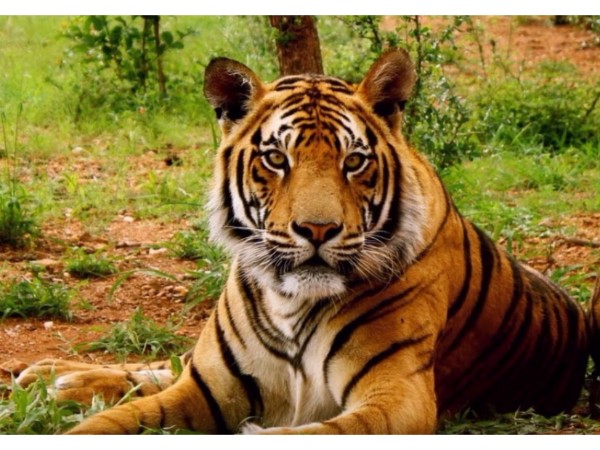 6. పుణ్యం