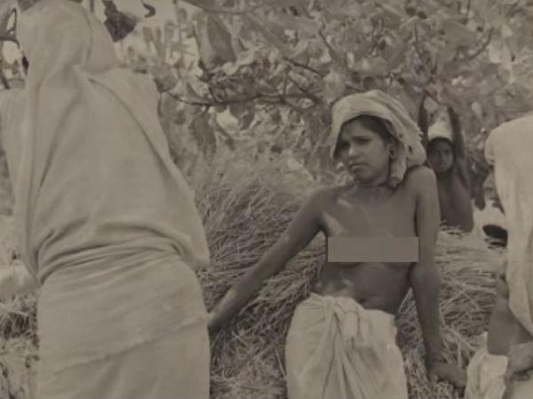 10. పన్ను