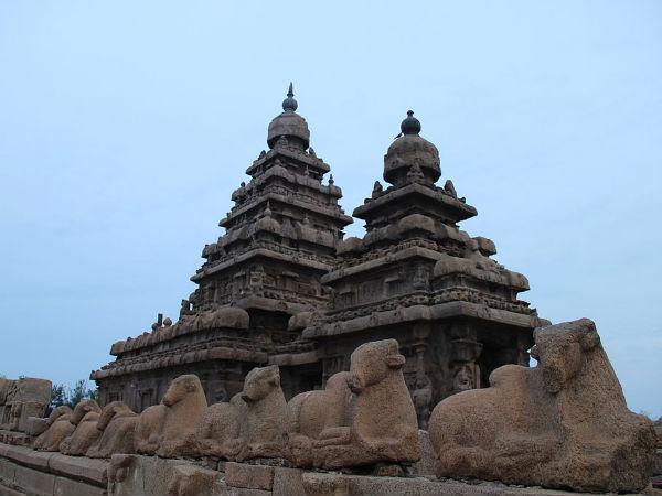 6. కృష్ణాస్ బట్టర్ బాల్