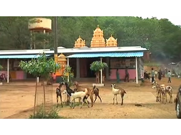 12. లక్ష్మీ సమేతం