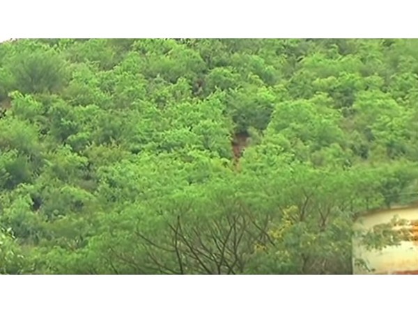 17. ఖమ్మం