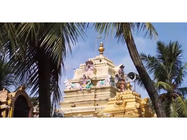 7. కాళిందిమడుగు