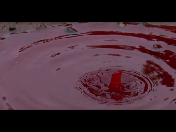 3. నమ్మకం