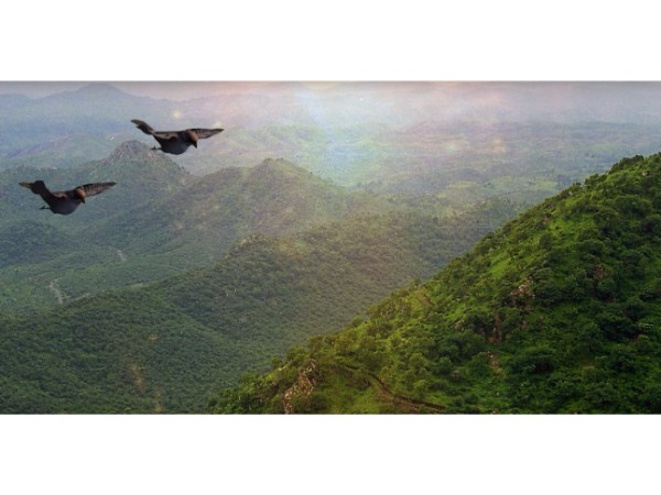 7. పచ్చని వాతావరణం
