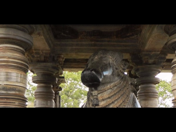 4. సమీపంలోని పుట్ట