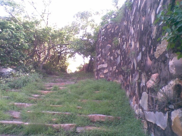 13. కాలజ్ఞానం