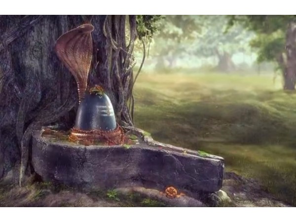 6. కోరిక కోరికలు తప్పకుండా నెరవేరుతుందా?