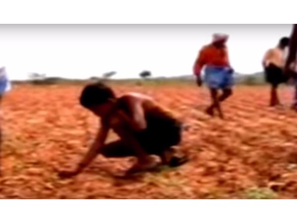 ప్రతి రాయీ వజ్రమా?