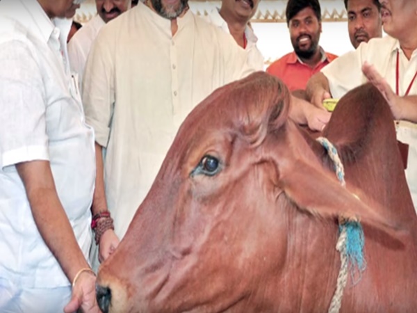 12. 2300 మెట్లు