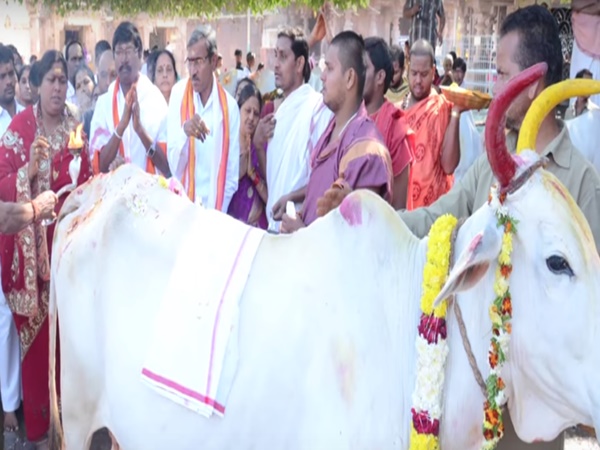 14. శ్రీవారి లీల