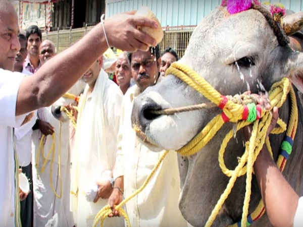 15. శ్రీవారి లీల