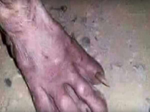 4. ఊహించని షాక్