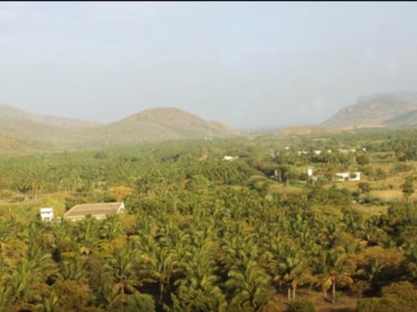 భారతీయ అటవీ శాఖ