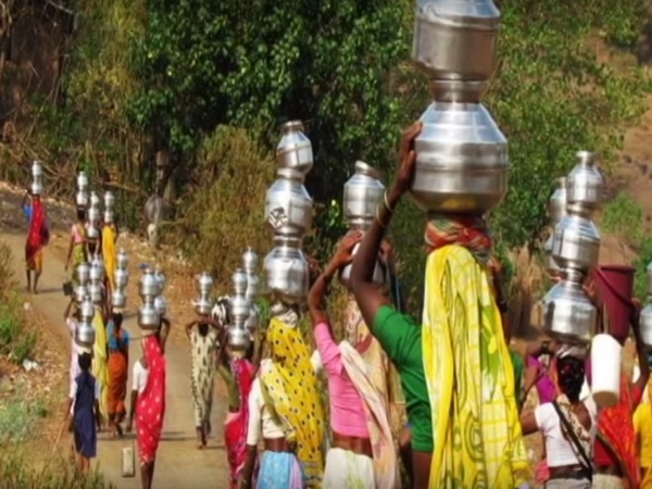 1. పిప్లాంట్రి