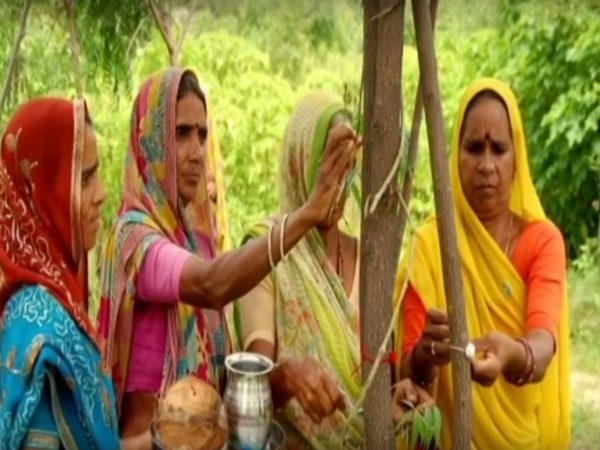 3. పిప్లాంట్రి