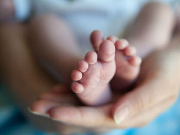 11. అడవిలో సింహాల మధ్య జన్మించిన బిడ్డ