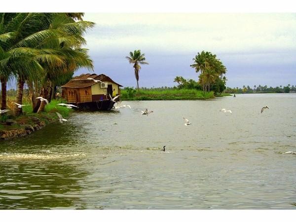 3. హౌస్ బోట్, కేరళ