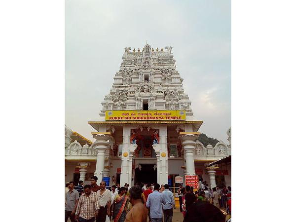 8. సర్వేశ్వరుడు