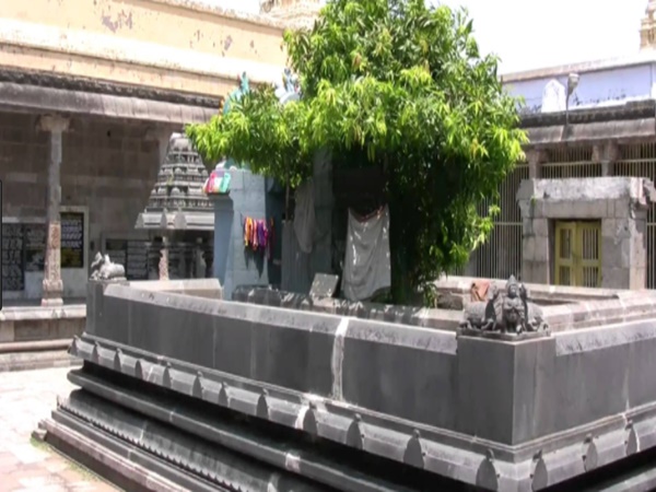 కాంచీపురంలోని ఏకాంబరేశ్వర దేవాలయం