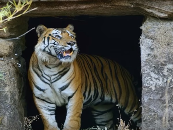 ద్వారం