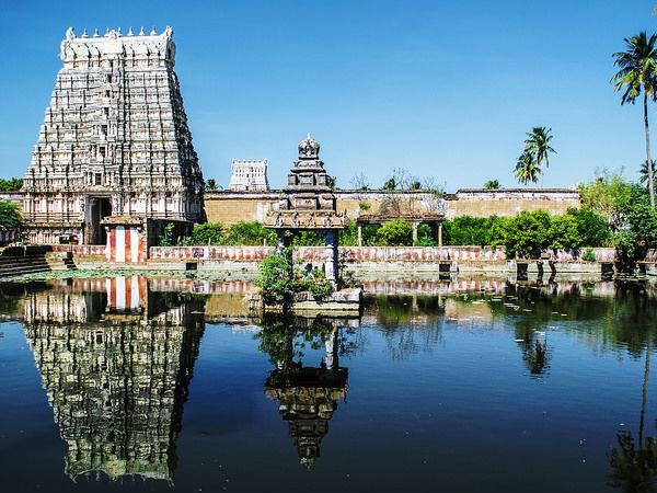 ప్రకృతి సౌందర్యం, పచ్చదనం