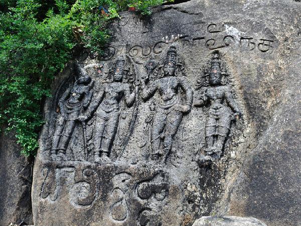 పచ్చదనంతో కూడిన అంబసముద్రం