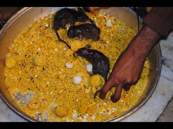 అన్న ప్రసాదాలు