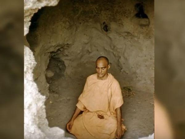 లామా
